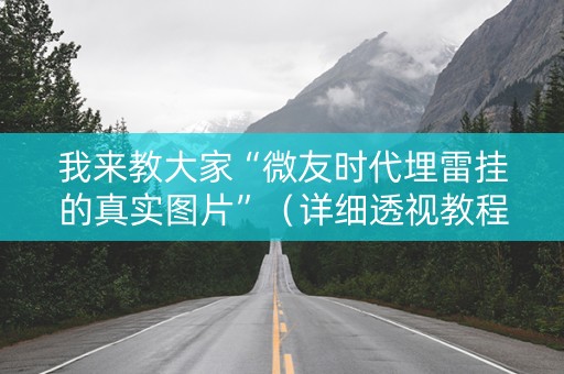 我来教大家“微友时代埋雷挂的真实图片”（详细透视教程）-哔哩哔哩