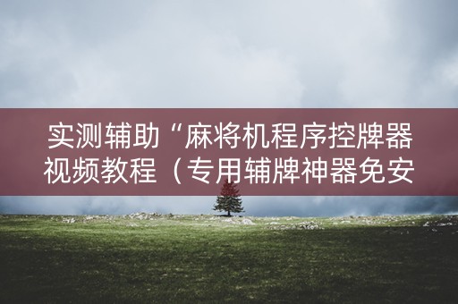 实测辅助“麻将机程序控牌器视频教程（专用辅牌神器免安装）