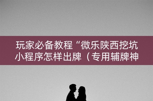 玩家必备教程“微乐陕西挖坑小程序怎样出牌（专用辅牌神器免安装）
