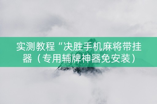 实测教程“决胜手机麻将带挂器（专用辅牌神器免安装）