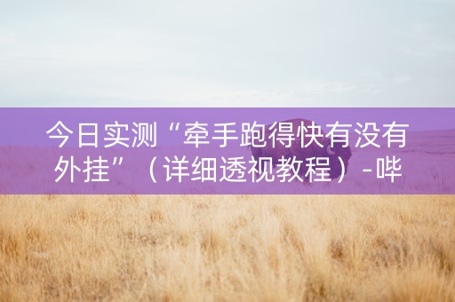 今日实测“牵手跑得快有没有外挂”（详细透视教程）-哔哩哔哩