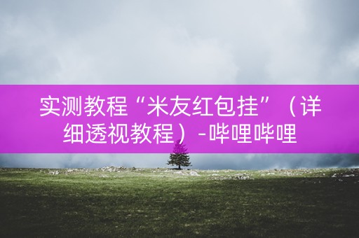 实测教程“米友红包挂”（详细透视教程）-哔哩哔哩