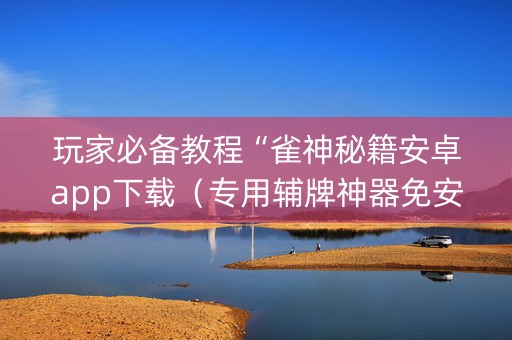 玩家必备教程“雀神秘籍安卓app下载（专用辅牌神器免安装）