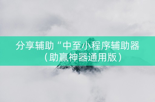 分享辅助“中至小程序辅助器（助赢神器通用版）
