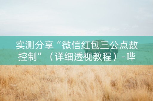 实测分享“微信红包三公点数控制”（详细透视教程）-哔哩哔哩