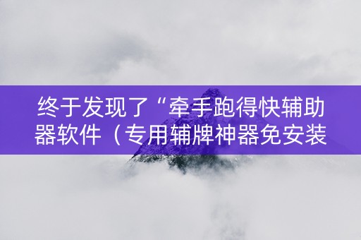 终于发现了“牵手跑得快辅助器软件（专用辅牌神器免安装）