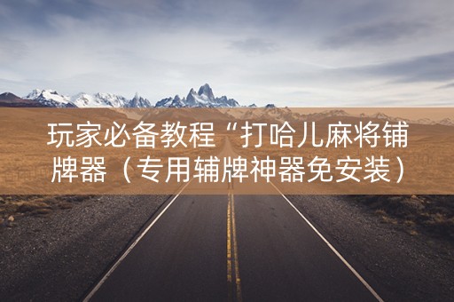 玩家必备教程“打哈儿麻将铺牌器（专用辅牌神器免安装）