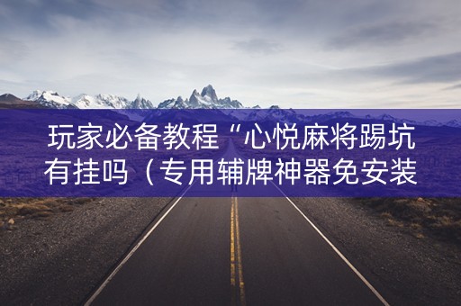 玩家必备教程“心悦麻将踢坑有挂吗（专用辅牌神器免安装）