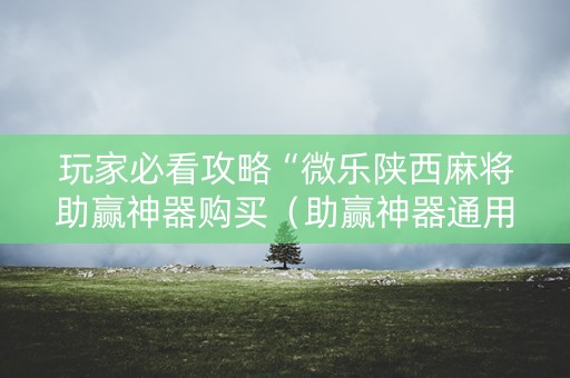 玩家必看攻略“微乐陕西麻将助赢神器购买（助赢神器通用版）