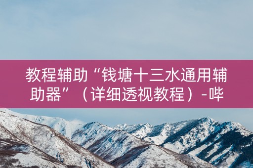 教程辅助“钱塘十三水通用辅助器”（详细透视教程）-哔哩哔哩