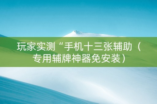 玩家实测“手机十三张辅助（专用辅牌神器免安装）