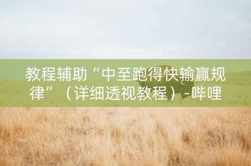 教程辅助“中至跑得快输赢规律”（详细透视教程）-哔哩哔哩