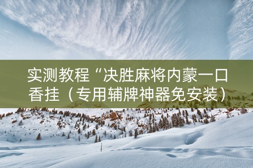 实测教程“决胜麻将内蒙一口香挂（专用辅牌神器免安装）