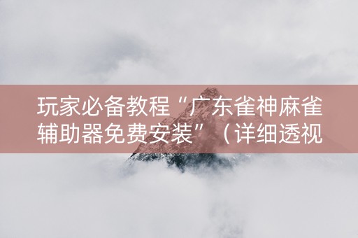 玩家必备教程“广东雀神麻雀辅助器免费安装”（详细透视教程）-哔哩哔哩