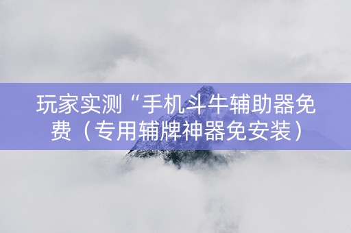 玩家实测“手机斗牛辅助器免费（专用辅牌神器免安装）