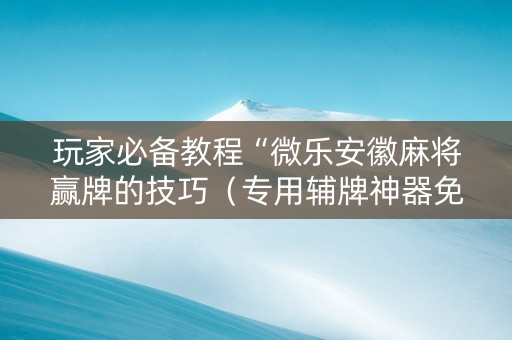 玩家必备教程“微乐安徽麻将赢牌的技巧（专用辅牌神器免安装）