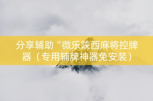分享辅助“微乐陕西麻将控牌器（专用辅牌神器免安装）