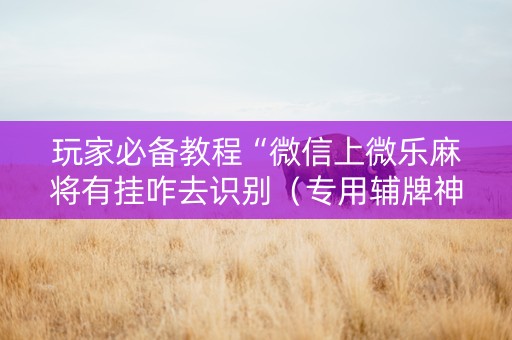 玩家必备教程“微信上微乐麻将有挂咋去识别（专用辅牌神器免安装）