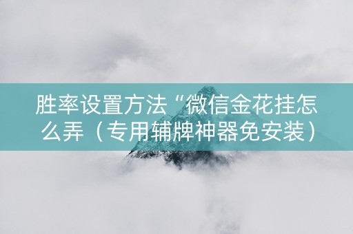 胜率设置方法“微信金花挂怎么弄（专用辅牌神器免安装）