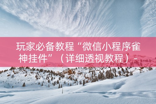 玩家必备教程“微信小程序雀神挂件”（详细透视教程）-哔哩哔哩