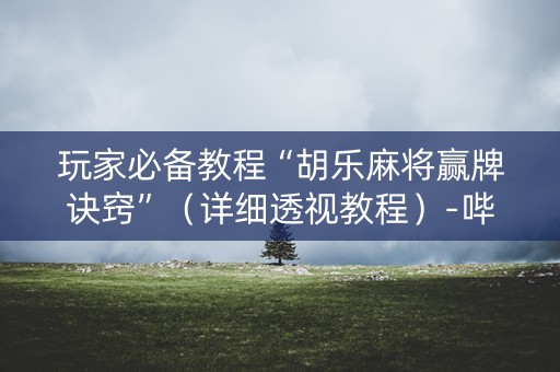 玩家必备教程“胡乐麻将赢牌诀窍”（详细透视教程）-哔哩哔哩