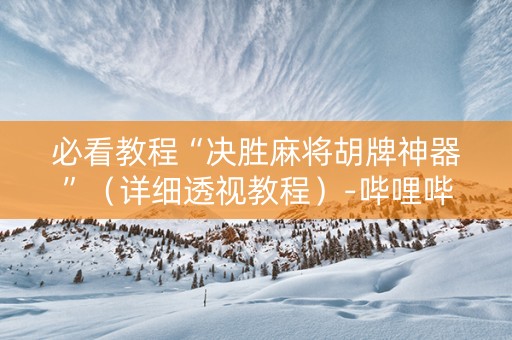 必看教程“决胜麻将胡牌神器”（详细透视教程）-哔哩哔哩