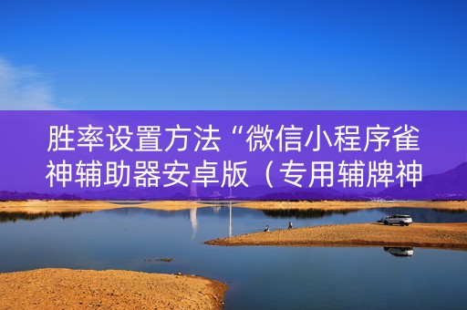 胜率设置方法“微信小程序雀神辅助器安卓版（专用辅牌神器免安装）