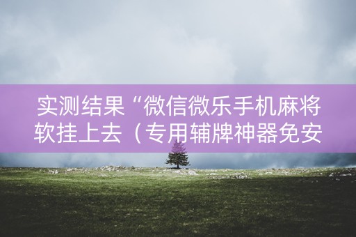 实测结果“微信微乐手机麻将软挂上去（专用辅牌神器免安装）
