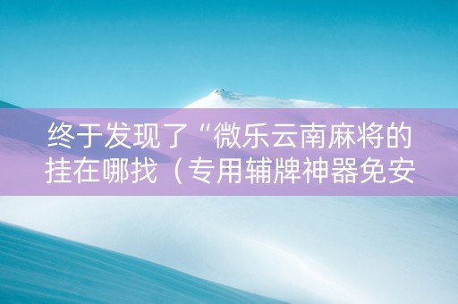 终于发现了“微乐云南麻将的挂在哪找（专用辅牌神器免安装）