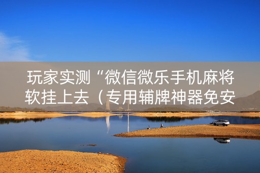 玩家实测“微信微乐手机麻将软挂上去（专用辅牌神器免安装）