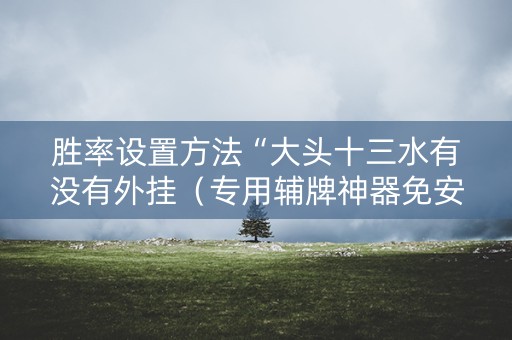 胜率设置方法“大头十三水有没有外挂（专用辅牌神器免安装）