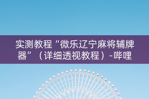 实测教程“微乐辽宁麻将辅牌器”（详细透视教程）-哔哩哔哩