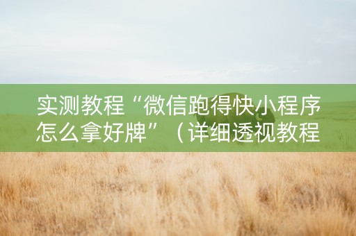 实测教程“微信跑得快小程序怎么拿好牌”（详细透视教程）-哔哩哔哩