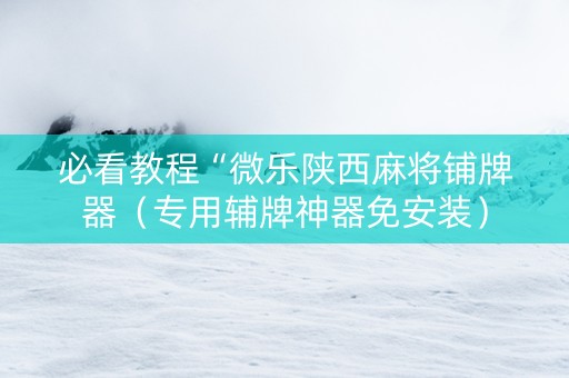 必看教程“微乐陕西麻将铺牌器（专用辅牌神器免安装）