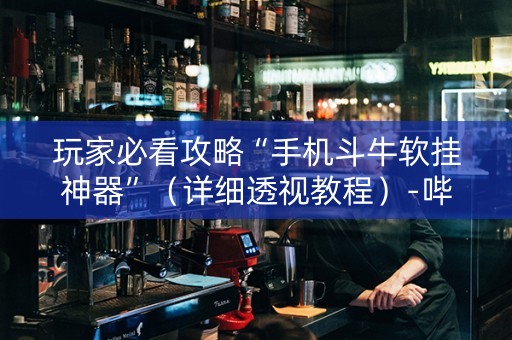 玩家必看攻略“手机斗牛软挂神器”（详细透视教程）-哔哩哔哩