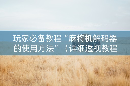 玩家必备教程“麻将机解码器的使用方法”（详细透视教程）-哔哩哔哩