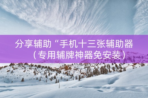 分享辅助“手机十三张辅助器（专用辅牌神器免安装）