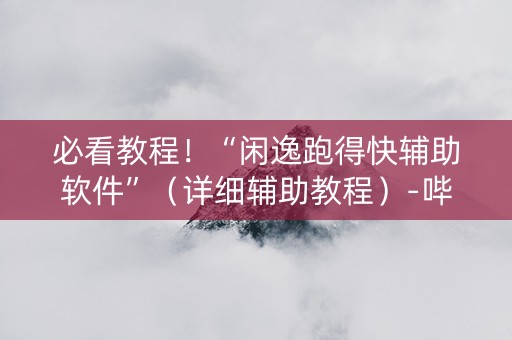 必看教程！“闲逸跑得快辅助软件”（详细辅助教程）-哔哩哔哩