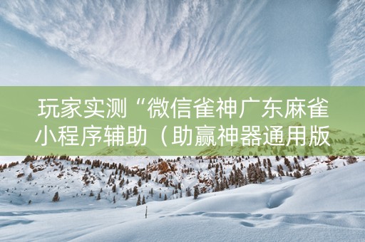 玩家实测“微信雀神广东麻雀小程序辅助（助赢神器通用版）