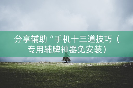 分享辅助“手机十三道技巧（专用辅牌神器免安装）