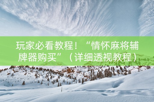 玩家必看教程！“情怀麻将辅牌器购买”（详细透视教程）-哔哩哔哩