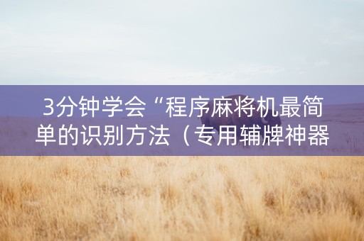 3分钟学会“程序麻将机最简单的识别方法（专用辅牌神器免安装）