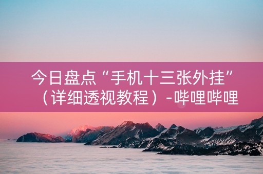 今日盘点“手机十三张外挂”（详细透视教程）-哔哩哔哩
