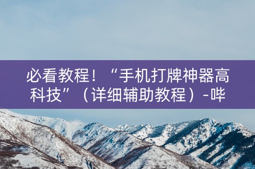 必看教程！“手机打牌神器高科技”（详细辅助教程）-哔哩哔哩