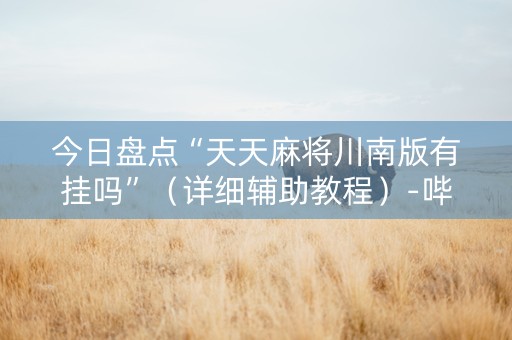 今日盘点“天天麻将川南版有挂吗”（详细辅助教程）-哔哩哔哩