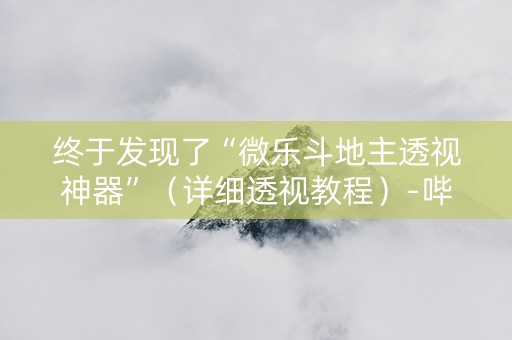 终于发现了“微乐斗地主透视神器”（详细透视教程）-哔哩哔哩