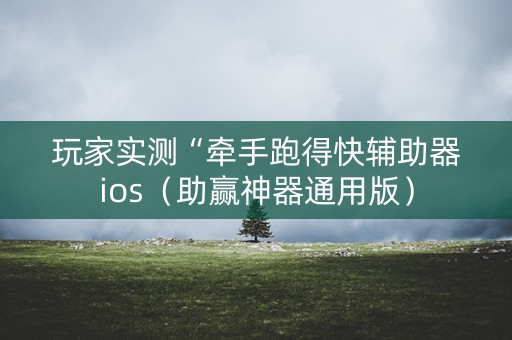 玩家实测“牵手跑得快辅助器ios（助赢神器通用版）