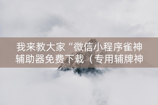 我来教大家“微信小程序雀神辅助器免费下载（专用辅牌神器免安装）