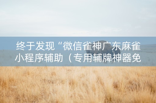 终于发现“微信雀神广东麻雀小程序辅助（专用辅牌神器免安装）