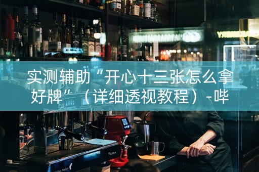实测辅助“开心十三张怎么拿好牌”（详细透视教程）-哔哩哔哩